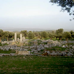 Ionia, Lebedus