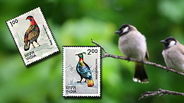 indian-birds-on-stamps